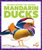 Mandarin Ducks by Alicia Z. Klepeis, 9798896625513