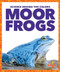 Moor Frogs by Alicia Z. Klepeis, 9798896625544