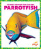 Parrotfish - 9798896625575 by Alicia Z. Klepeis