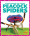 Peacock Spiders by Alicia Z. Klepeis, 9798896625605