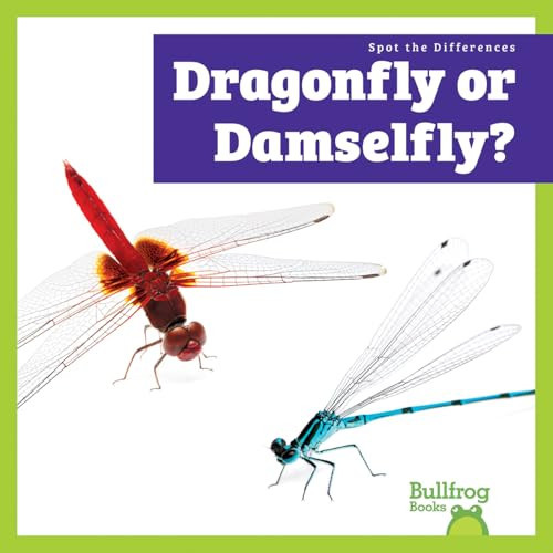Dragonfly or Damselfly? by Lily Austen, 9798896625636