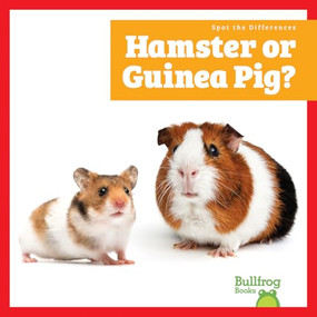 Hamster or Guinea Pig? by Becca Becker, 9798896625667