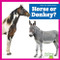 Horse or Donkey? by Becca Becker, 9798896625698