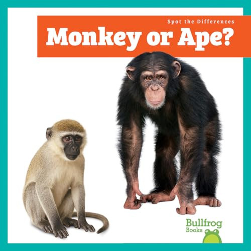 Monkey or Ape? by Lily Austen, 9798896625728