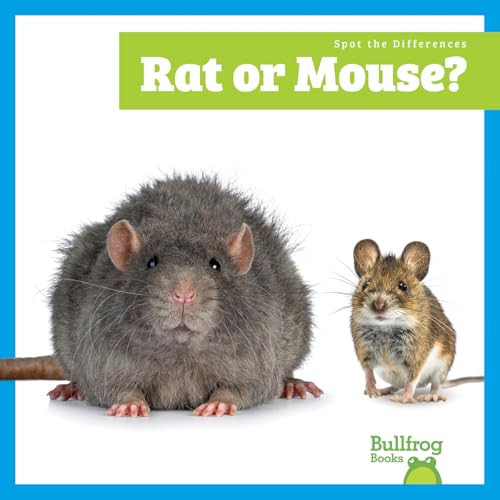 Rat or Mouse? by Becca Becker, 9798896625759