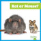 Rat or Mouse? by Becca Becker, 9798896625759