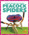 Peacock Spiders - 9798896625612 by Alicia Z. Klepeis, N/A