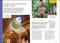 DK Prague Mini Map and Guide by DK Travel, 9780241813775