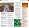 DK Top 10 Rio de Janeiro (Top 10 lists for your perfect trip, plus an all-weather folded map) by DK Travel, 9780241813430