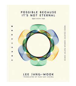 Possible Because It's Not Eternal by Lee Jangwook, ​Eun-Gwi Chung, 9781965154250