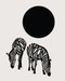Wool Moon by Zachary Schomburg, 9781965154274
