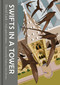Swifts in a Tower by David Lack, 9781911604365
