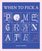 When to Pick a Pomegrante by Yasmeen Abedifard, 9798886200539