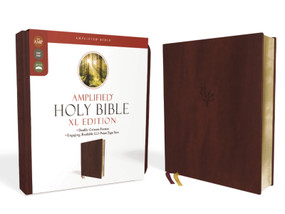 Amplified Holy Bible, XL Edition, Leathersoft, Burgundy by Zondervan, 9780310109433
