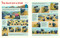 What Goes On Inside a Tide Pool (A Hermit Crab's Search for a New Home) by Monterey Bay Aquarium, Katy Scott, Amy Grimes, 9781635867770