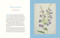 Beatrix Potter's Botanical (The Art of Flowers and Fungi) by Marta McDowell, 9781643264851