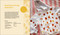 Flowerprint (The Wild, Wonderful World of Botanical Dyeing) by Amanda de Beaufort, 9781643265315
