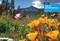 Moon Colorado (Scenic Drives, National Parks, Hiking & Skiing) - 9798886471946 by Terri Cook, Moon Travel Guides