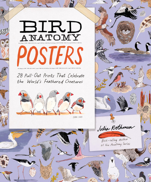 Bird Anatomy Posters (28 Pull-Out Prints That Celebrate the World's Feathered Creatures) by Julia Rothman, 9798897080748