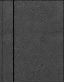 CSB Notetaking Bible, Charcoal LeatherTouch by CSB Bibles by Holman, 9798384552789