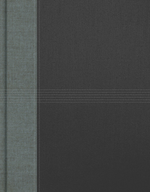 KJV Notetaking Bible, Gray Cloth Over Board by Holman Bible Publishers, 9798384552871