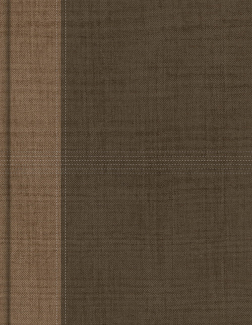 NASB Notetaking Bible, Large Print Edition, Brown Cloth Over Board by Holman Bible Publishers, 9798384552895