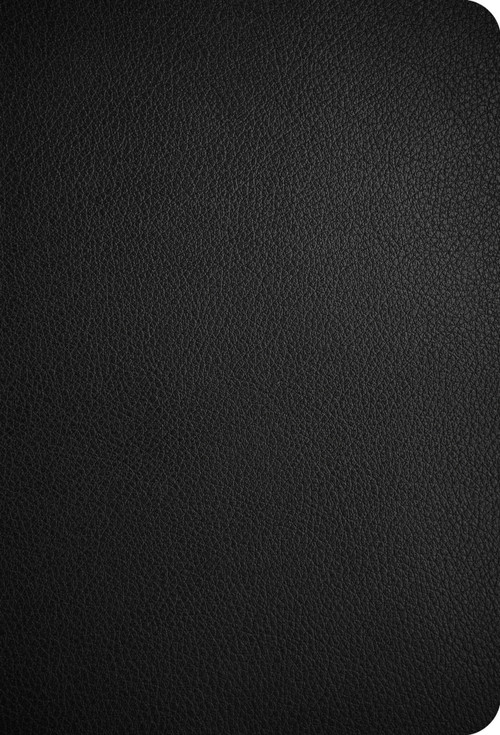 CSB Large Print Compact Reference Bible, Optimal Type, Digital Study Edition, Black Genuine Leather by CSB Bibles by Holman, 9798384552970
