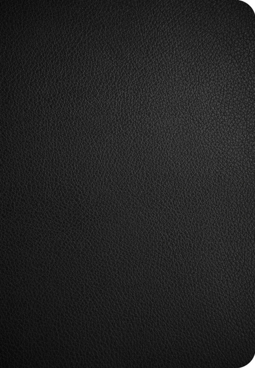 CSB Personal Size Giant Print Bible, Optimal Type, Digital Study Edition, Black Genuine Leather by CSB Bibles by Holman, 9798384553038
