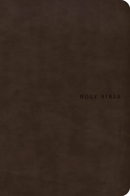 NASB Super Giant Print Reference Bible, Value Edition, Brown LeatherTouch by Holman Bible Publishers, 9798384553168
