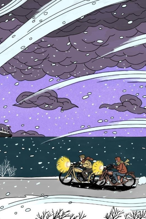 Hardy Boys, Box Set 3 by Franklin W. Dixon, Leslie McFarlane, 9798901160718