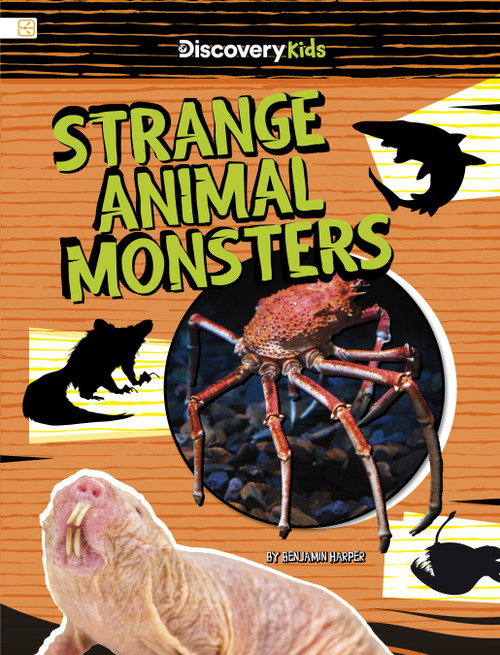 Strange Animal Monsters by Benjamin Harper, 9798875287398