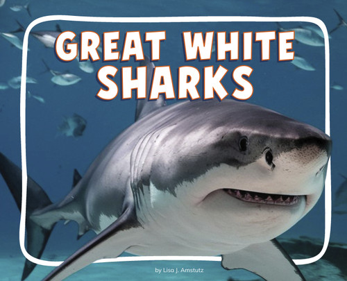 Great White Sharks - 9798875287510 by Lisa J. Amstutz, 9798875287510