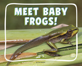 Meet Baby Frogs! by Cari Meister, 9798875287817