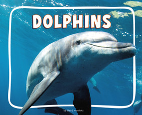 Dolphins - 9798875287558 by Lisa J. Amstutz, 9798875287558
