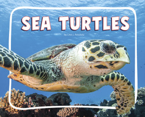 Sea Turtles - 9798875287565 by Lisa J. Amstutz, 9798875287565