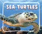 Sea Turtles - 9798875287565 by Lisa J. Amstutz, 9798875287565