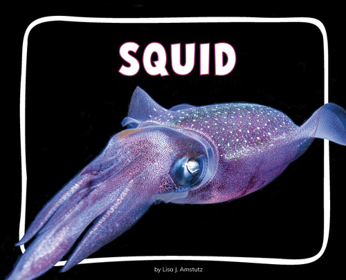 Squid - 9798875287695 by Lisa J. Amstutz, 9798875287695