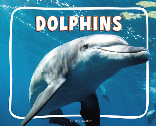 Dolphins - 9798875287701 by Lisa J. Amstutz, 9798875287701