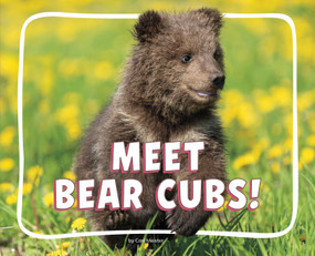 Meet Bear Cubs! by Cari Meister, 9798875287909