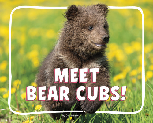 Meet Bear Cubs! by Cari Meister, 9798875287909