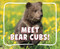 Meet Bear Cubs! by Cari Meister, 9798875287909