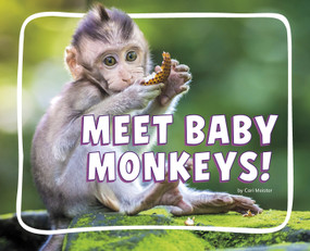 Meet Baby Monkeys! by Cari Meister, 9798875287916