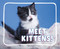 Meet Kittens! by Cari Meister, 9798875287923