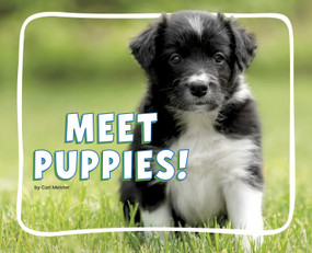 Meet Puppies! by Cari Meister, 9798875287930