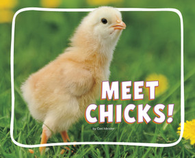 Meet Chicks! - 9798875288142 by Cari Meister, 9798875288142