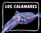 Los calamares (Giant Squid) (Spanish Edition) - 9798875297489 by Lisa J. Amstutz, 9798875297489
