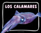 Los calamares (Spanish Edition) - 9798875297533 by Lisa J. Amstutz, 9798875297533