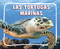 Las tortugas marinas (Sea Turtles) (Spanish Edition) - 9798875297588 by Lisa J. Amstutz, 9798875297588