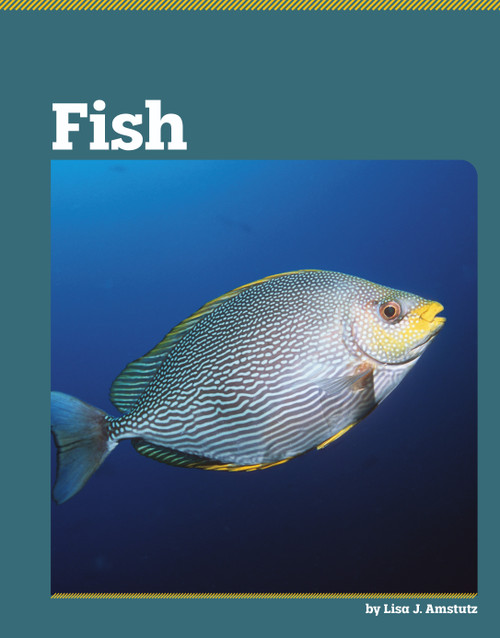 Fish - 9798875313615 by Lisa J. Amstutz, 9798875313615