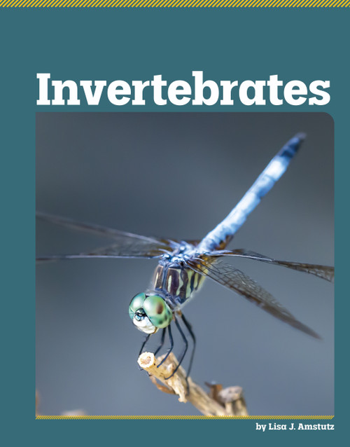 Invertebrates - 9798875313646 by Lisa J. Amstutz, 9798875313646